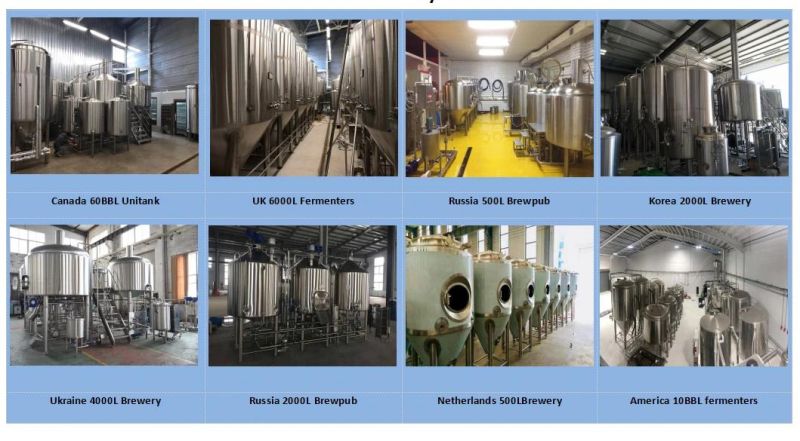 Cassman Customized 304 Stainless Steel Brewery System Fermentation Equipment Beer Making Line