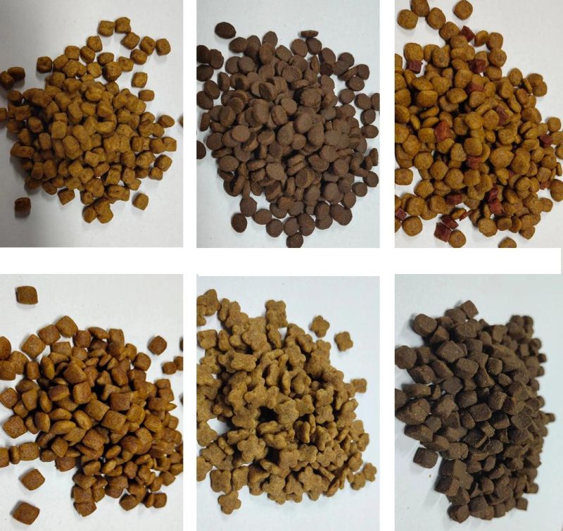 African Industrial Twin-Screw Puffed Dog Food Cat Feed Kibble Bulking Extrusion Production Line Machine