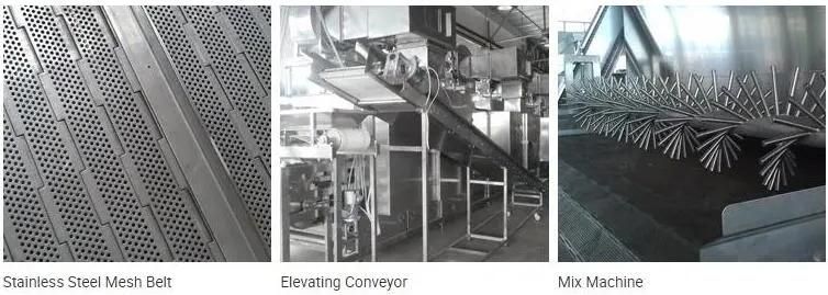 Automatic Customized Fruit Vegetable Ginger Garlic Onion Slice Drying Line