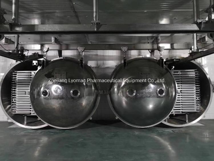 High Technology Industrial Vegetable Freeze Dryer