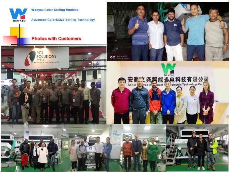 5 Chutes 320 Channels Thailand Rice Color Sorter Machine From Wenyao China