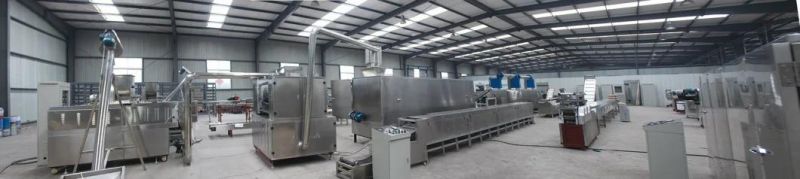 China Cereal Wheat Fryums Filling Snack Production Line Slanty Papad Chips Extruding Machinery