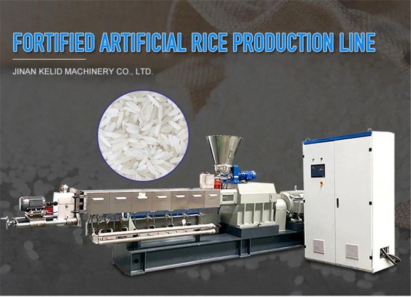 Fully Automatic Twin-Screw Extruder Artificial Fortified Rice Making Machine