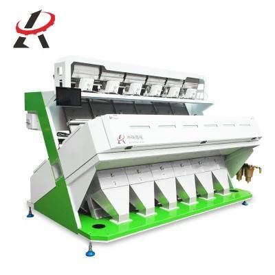 CCD Camera Great Northern Beans Color Sorter