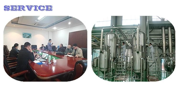 New Design Beverage Machenical Stirring Fermentation Tank