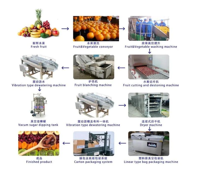 Movable Fresh-Cut Vegetable Processing Equipment/Fruit and Vegetable Processing Line in Container Lorries