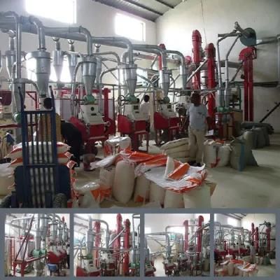 30t/24h Maize Flour Machine for Maize Meal