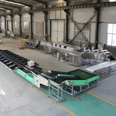 Automatic Vegetable Washing Waxing Sorting Line for Potato Carrot