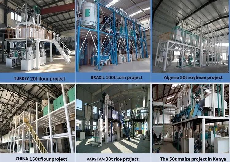 10t Flour Milling Equipment of Wheat Flour Mill