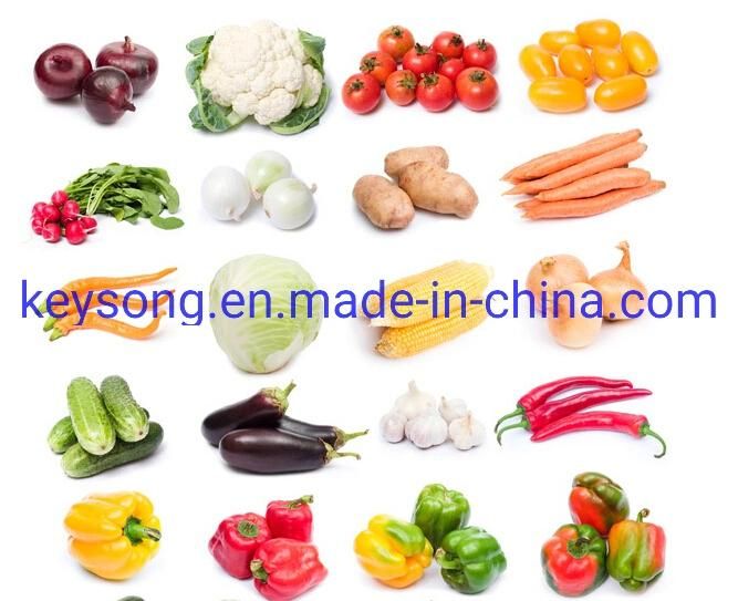 Continuous Conveyor Mesh Belt Fruit Vegetable Food Dehydrator