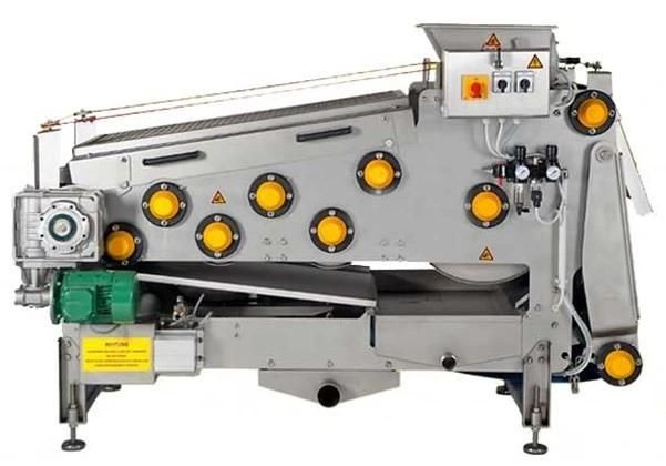Industrial Belt Press for Fruit and Vegetable Processing