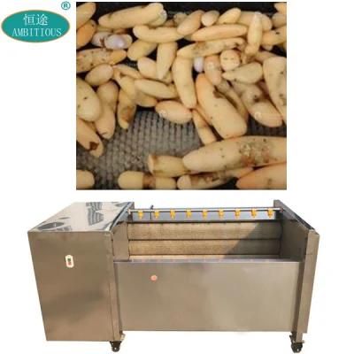 Root Vegetable Washing Machine Yam Peeling Machine