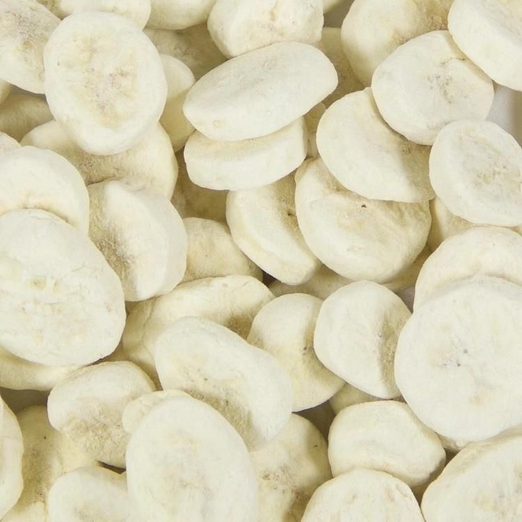 Vacuum Lyophilizer Price Dried Fruit Freeze Drying Machine Vacuum Freeze Dryer