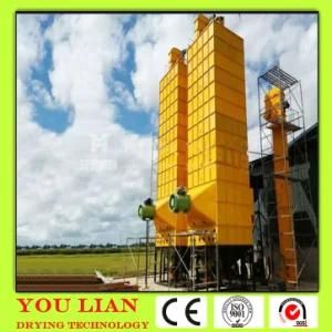 Fruit and Vegetable Drying Machine, Medlar Dryer