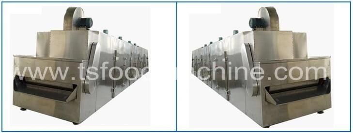 Continuous Conveying Belt Fruit Dryer and Lemon Apple Orange Drying Machine