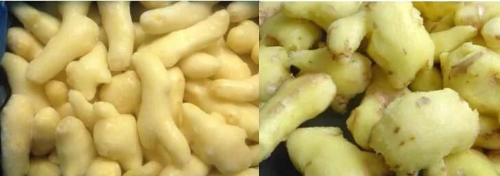 Potato Vegetable Stainless Steel Kitchen Commercial Peeler