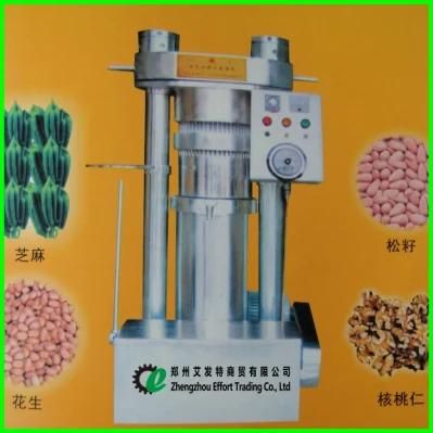 Favorable Price SS304 Sesame Oil Press, Stainless Steel Sesame Oil Press