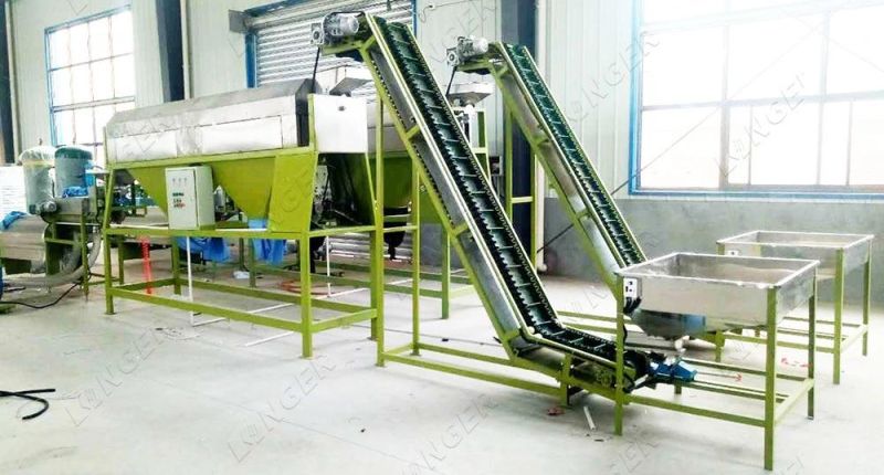 Automatic Cashew Nut Sorting Cooking Shell Removing Peeling Machine Price
