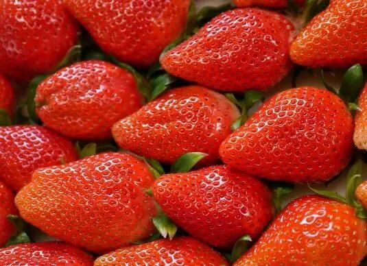 Vegetable and Fruits Lyophilizer Machine Freeze Dry Strawberry Vacuum Lyophilizer