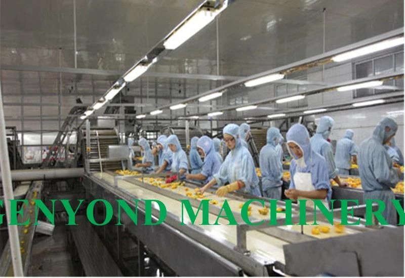 Complete Fruit in Syrup Production Line