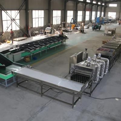 Root Vegetable Avocado Citrus Washing Waxing Sorting Line with CE Certification