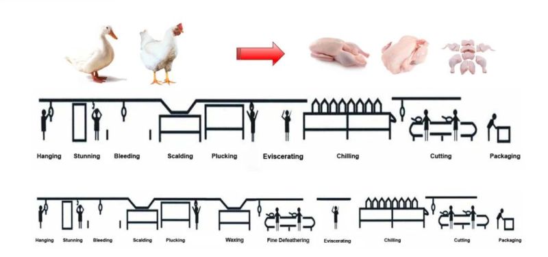 Poultry Processing Chicken Slaughtering Equipment Chicken Deboning Machine