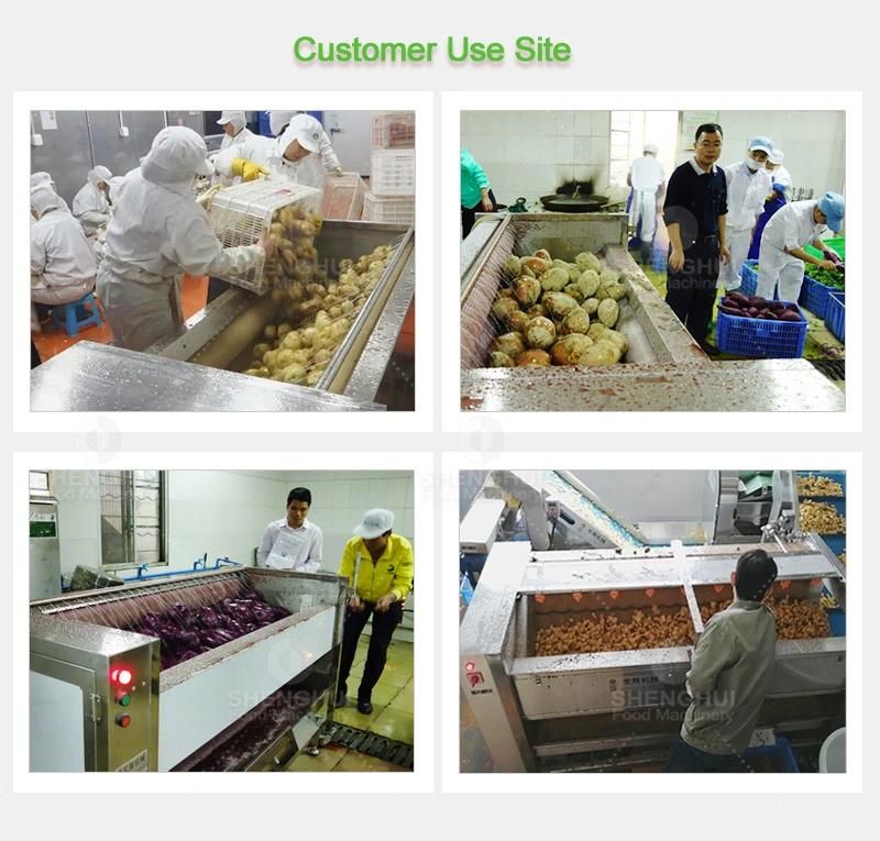 Brush Peanut Washing Machine Taro Peeling Machine Onion Cleaning Machine