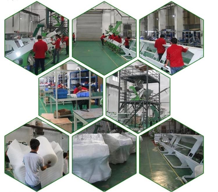 Rice Mill Machine with Rice Color Sorter Machine