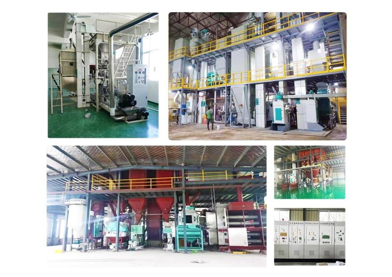 Automatic Granules Fish Feed Pelleting Machinery Extruder Floating Fish Food Making Extruder