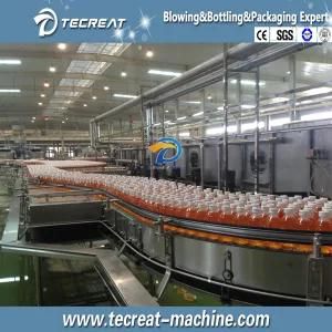 Inverted Bottle Sterilization Machine for Hot Juice Filling Line