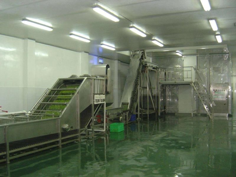 Professional Automatic IQF Tunnel Freezer Machine Individual Frozen Food Machinery