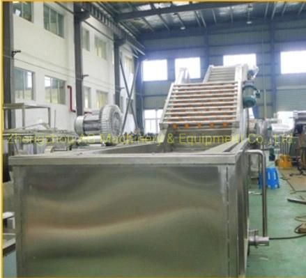 Fruit Leafy Vegetable Washing Machine Industrial Vegetable Fruit Processing Line