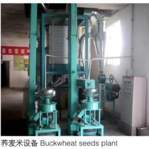 Buckwheat Seeds Plant