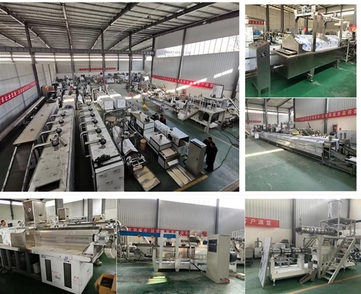 Full Automatic Soy Chunks Soya Nuggets Extruder Processing Line