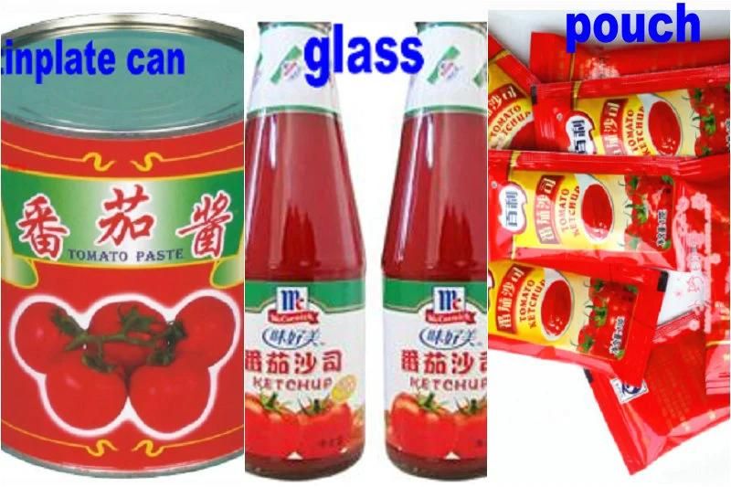 Industrial Tomato Sauce Making Equipment & Machine