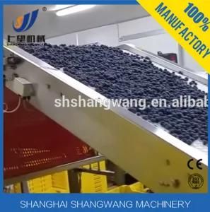Hot Sale Blueberry Juice Hot Filling Machine/Production Line