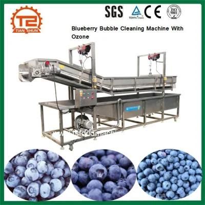 Fruit and Vegetable Washing Machine Blueberry Bubble Cleaning Machine with Ozone