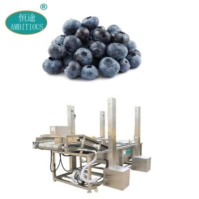 Automatic Fruits Cleaning Washer Blueberry Air Bubble Washing Machine
