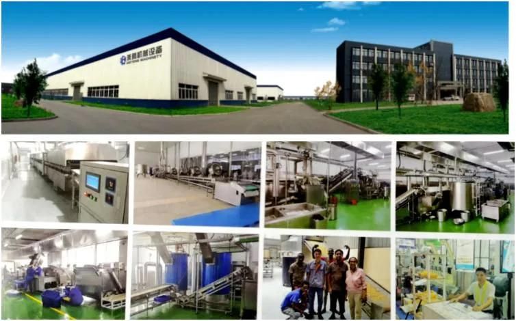 Stainless Steel Electric Sala Stick/Salad Snacks /Fried Salad Food High Efficiency Machine/Equipment/Plant/Line