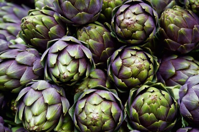 Herb Buble Washer High Pressure Artichoke Washing Machine
