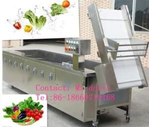 Automatic Air Bubbles Cleaning Machine, Vegetable Washing Machine