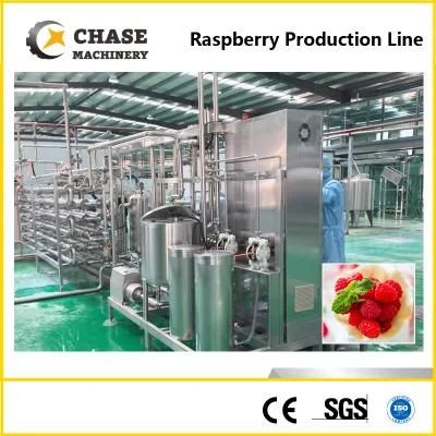 Cranberry Processing Line / Strawberry Production Line /Mulberry Processing Plant