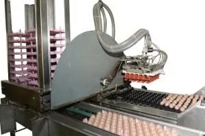 Hatching Egg Packing Machine