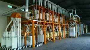 100-120tons of Maize Milling Machine