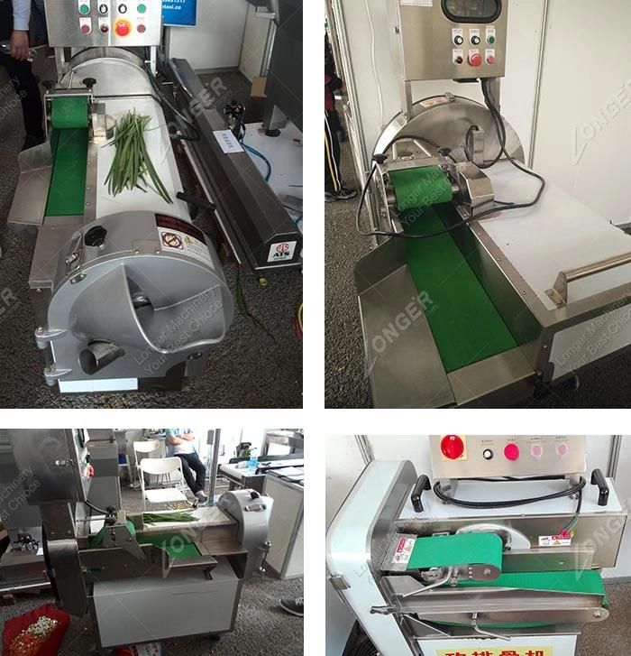 Commercial Multifunction Chinese Automatic Fruit and Vegetable Cutter Machine