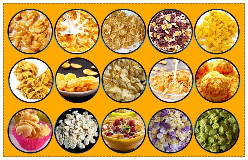 Popular and Industrial New Hot Fashion Extruder Corn Flake Making Machine