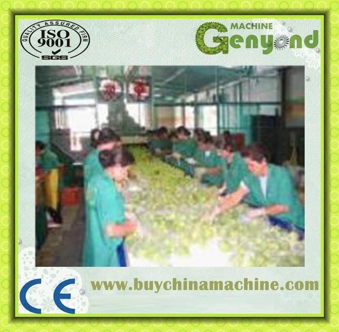 Automatic Fruit Juice Production Line