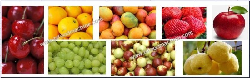 Vegetable and Fruit Bubble Washer Continous Vegetable and Fruit Bubble Washing Machine
