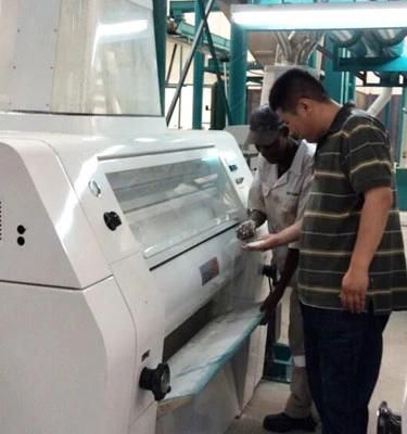 Maize Milling Equipment Hot Sales in Kenya