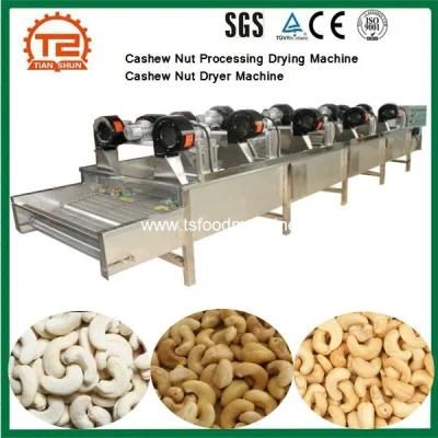 Cashew Nut Processing Drying Machine Cashew Nut Dryer Machine Price
